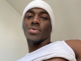 JanStallion