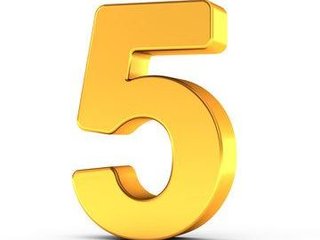 LivelyPerformer5