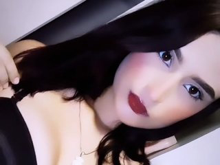 Martinamorenita