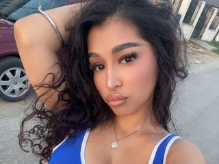SierraBlazeX