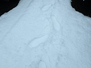 TestOnboarding6