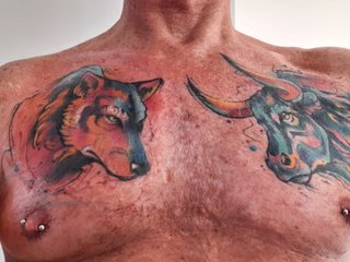 VixenandTheWolf