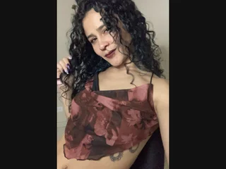 Anais133