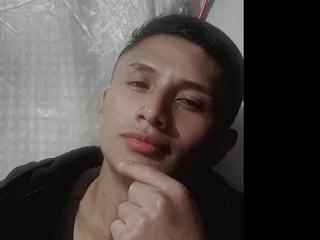 Model profile