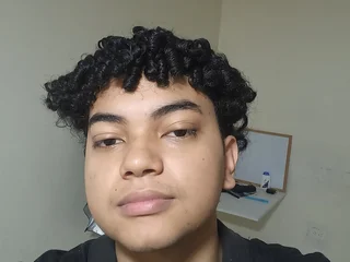Model profile