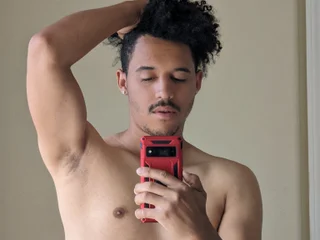Model profile