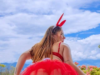 Model profile