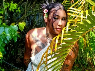 Model profile