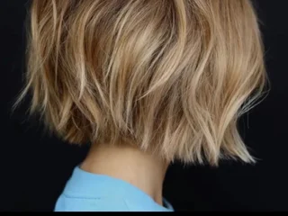 TheAliceFox