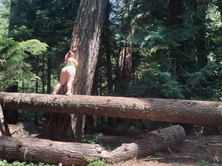 Wetcandydreamgirl