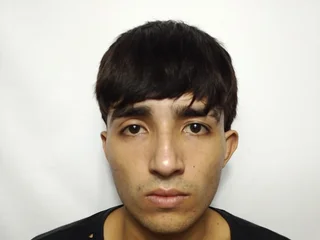 Model profile