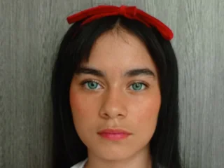 Model profile