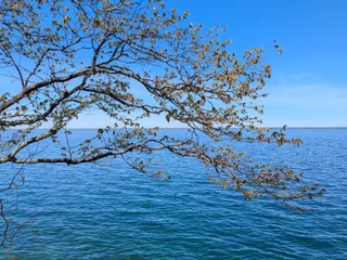 bluemelonc