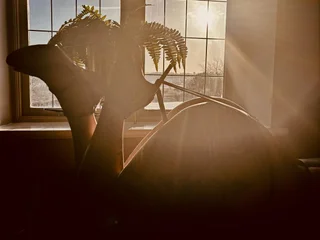 KatieCarterX profile picture