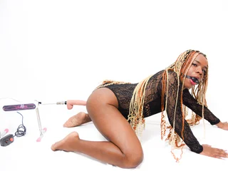 licyEvans profile picture