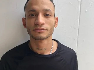 Model profile