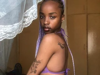 Model profile
