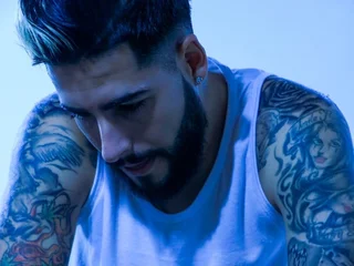 vincentsartori