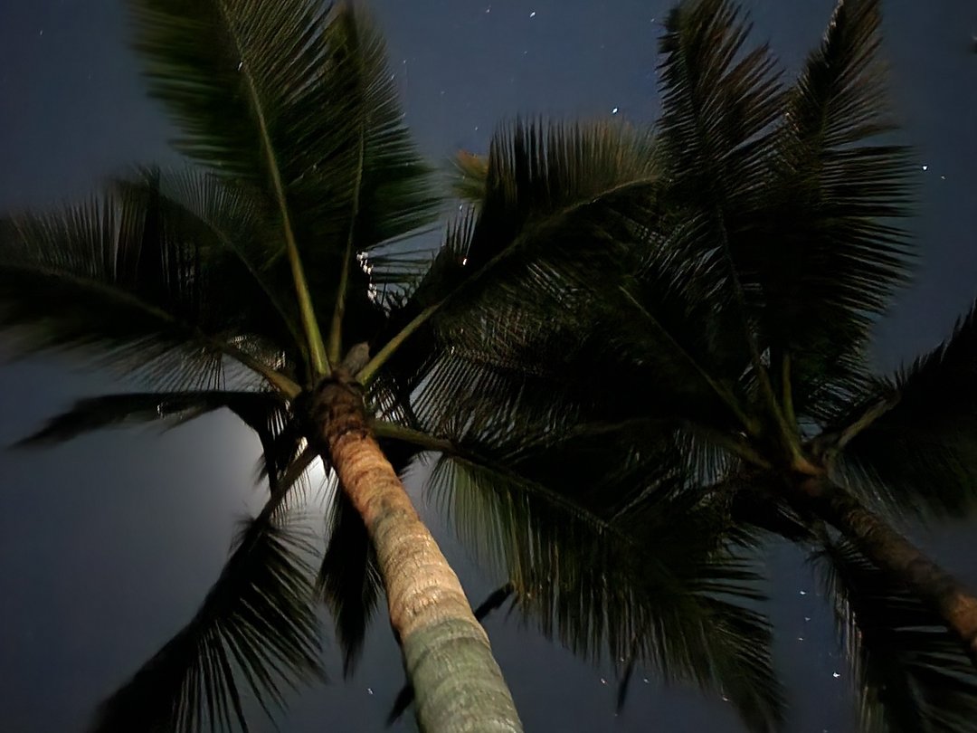 Aaron110011 — LIVE on Streamate