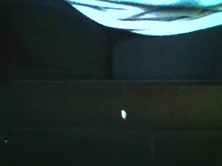 Amylively live cam