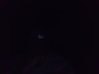 Bert69 live cam