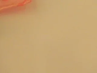 MelanieEvans20