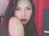 Akiravega webcam