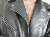 Bigbull_INDIAN