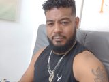 BladeFoxx 2