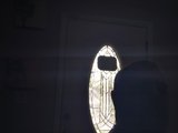 Chadfla live cam