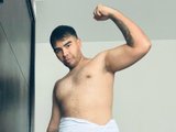 DANIBE live cam