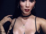 Latin26cms live cam