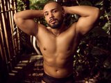 LionFerrer live cam