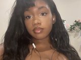 LucentBunnyy is live now!