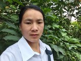 May_Vietnamese webcam