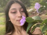 Rosa_Aura — Senotica photo 2