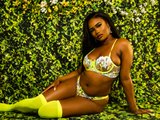 SupaNovaa is live now!
