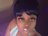 SwtCandee4u webcam