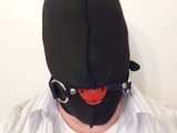 WyldePet live cam