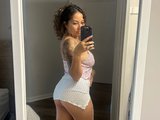 Yogikitten