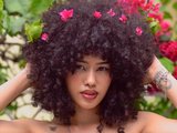 liawavy is live now!