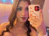 thepalacepowerfull live cam