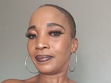 wildekitty28 webcam