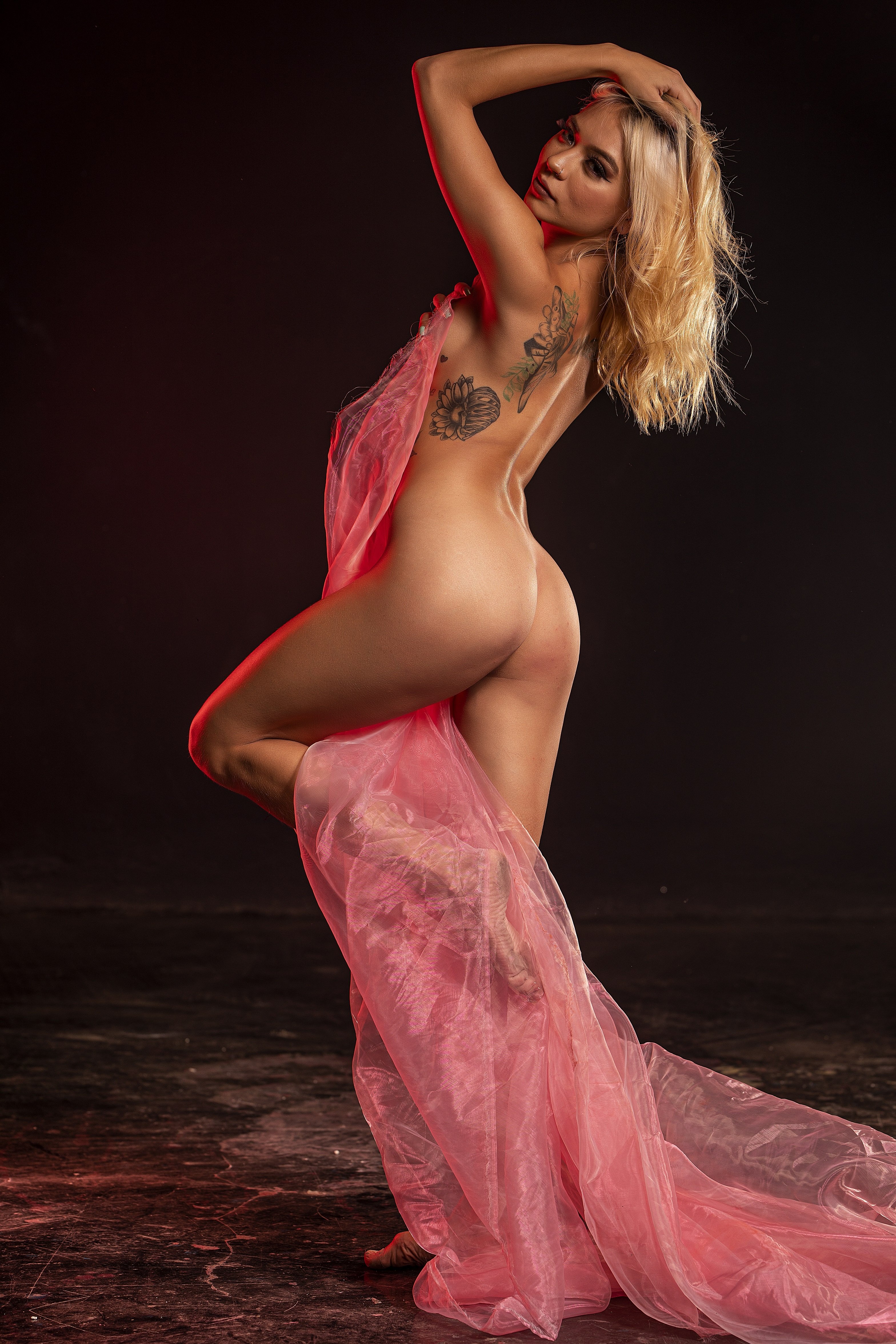 AliceLauderr