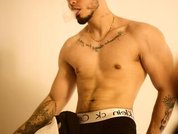 Model profile