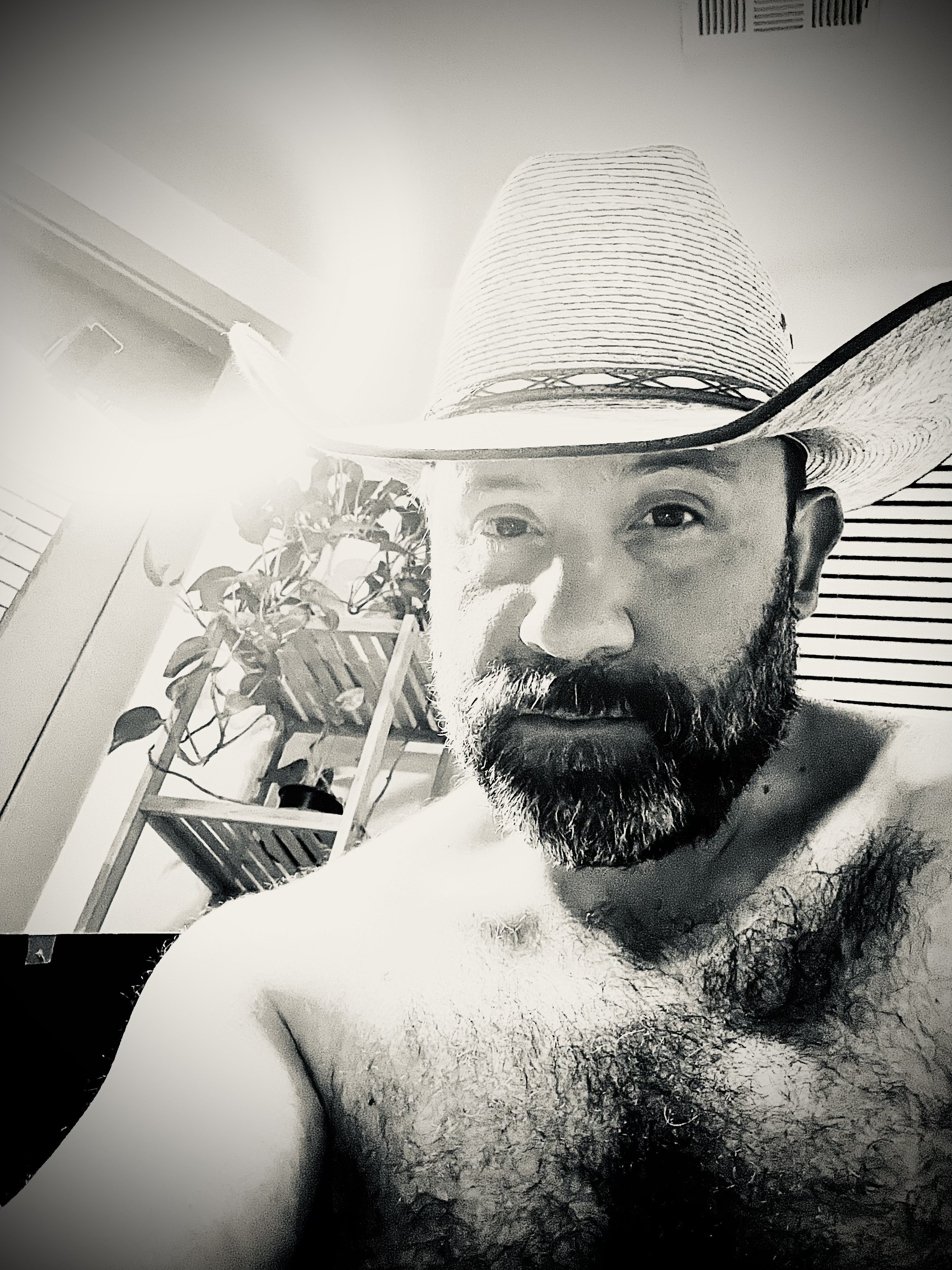 AssPlayAllDay