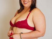 Model profile
