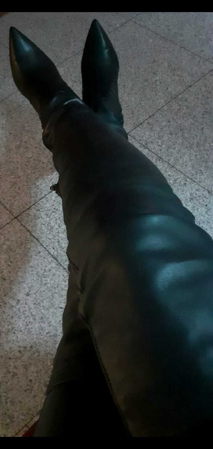 DomMelissa