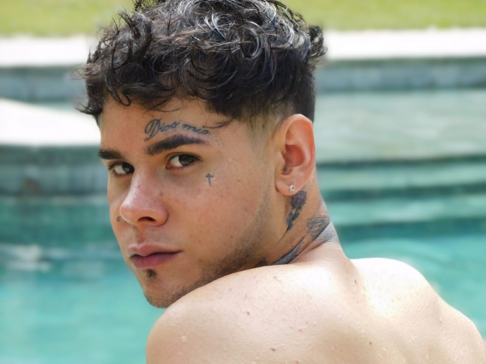 ElTavo