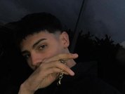 Model profile